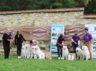 Speciální Výstava Chržín   20250927 9